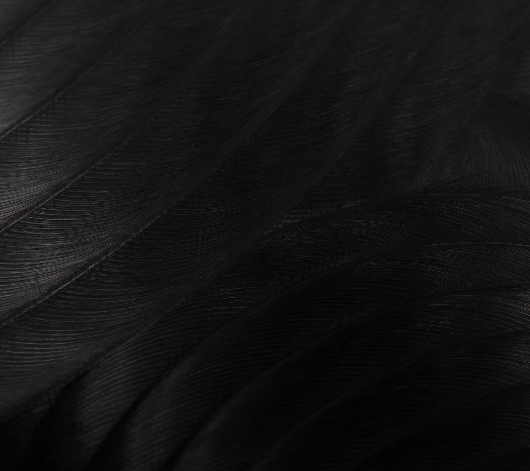 Textured black surface with wavy patterns.